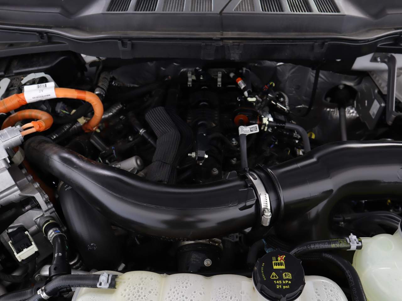 2025 Ford F-150 XLT Crew Cab