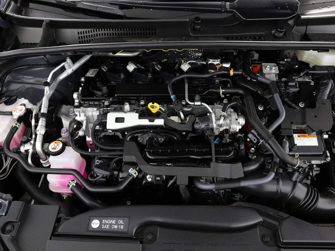 2025 Toyota Prius XLE