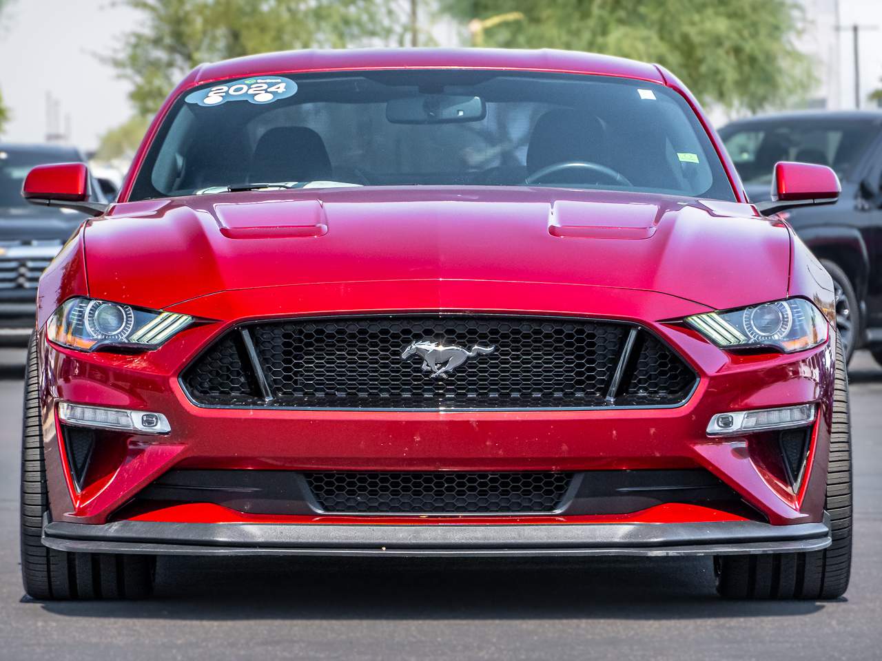 Certified 2019 Ford Mustang GT with VIN 1FA6P8CF3K5175648 for sale in Chandler, AZ