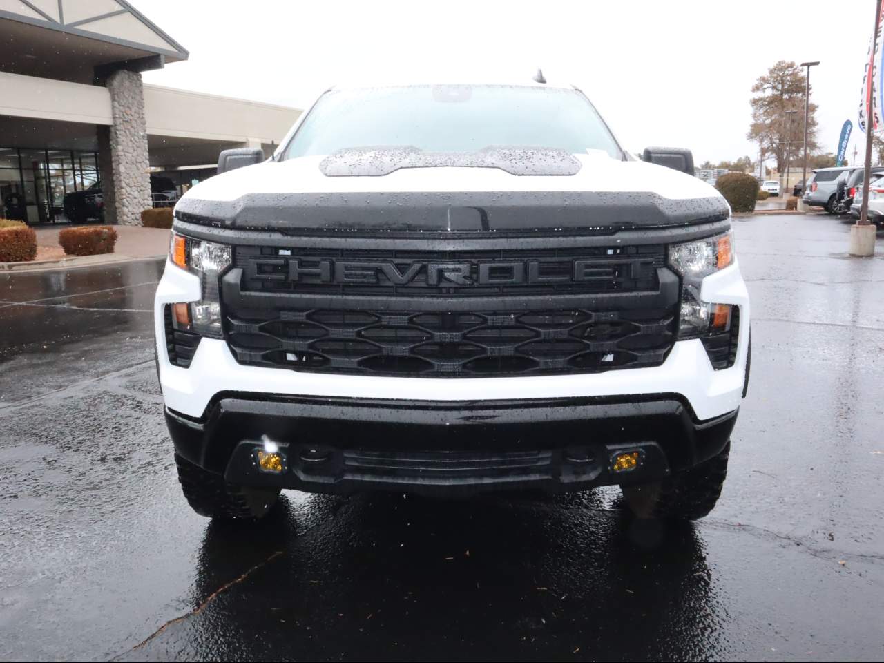 2023 Chevrolet Silverado 1500 Custom Trail Boss Crew Cab