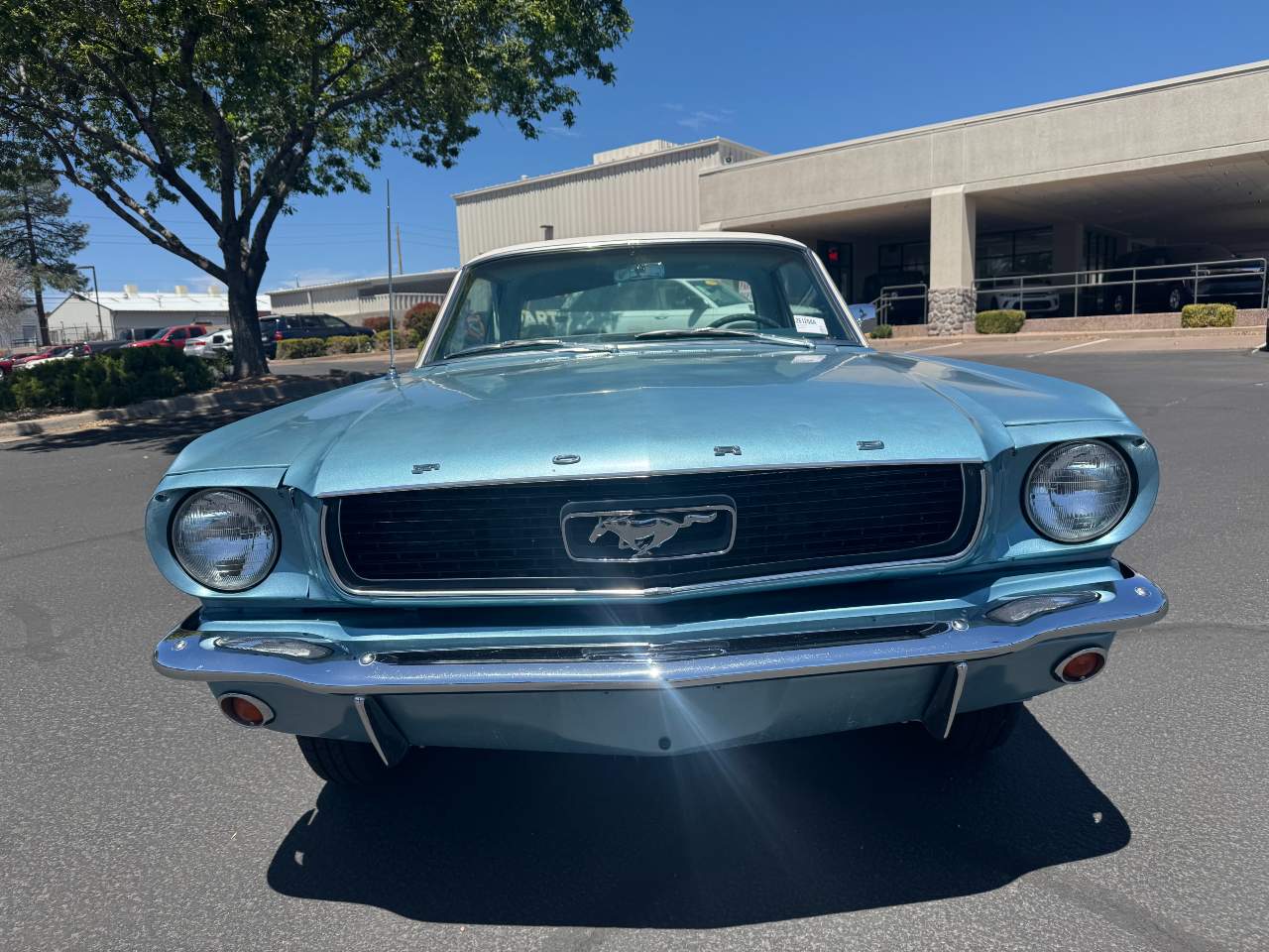 1966 Ford Mustang
