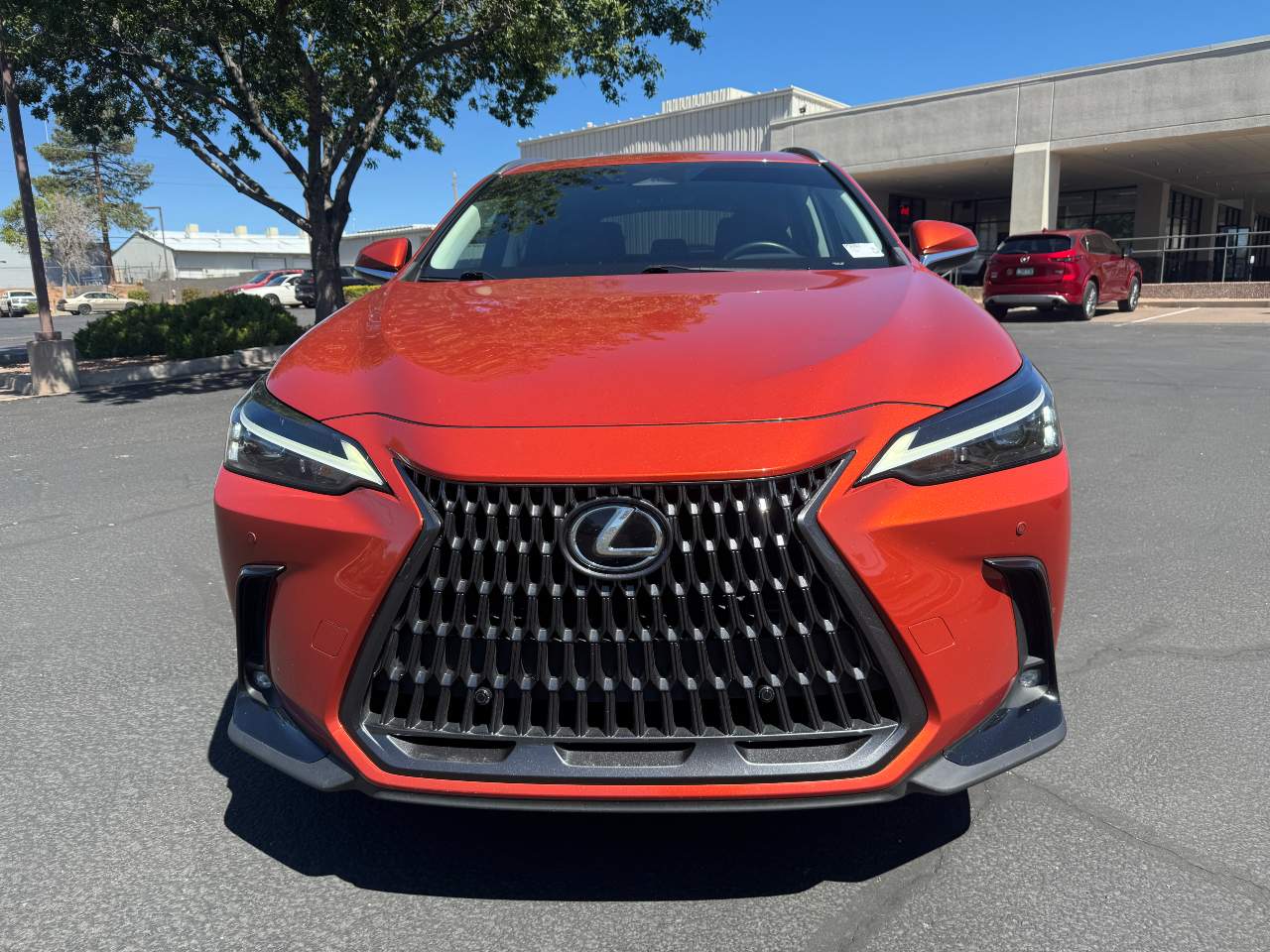 2022 Lexus NX 350