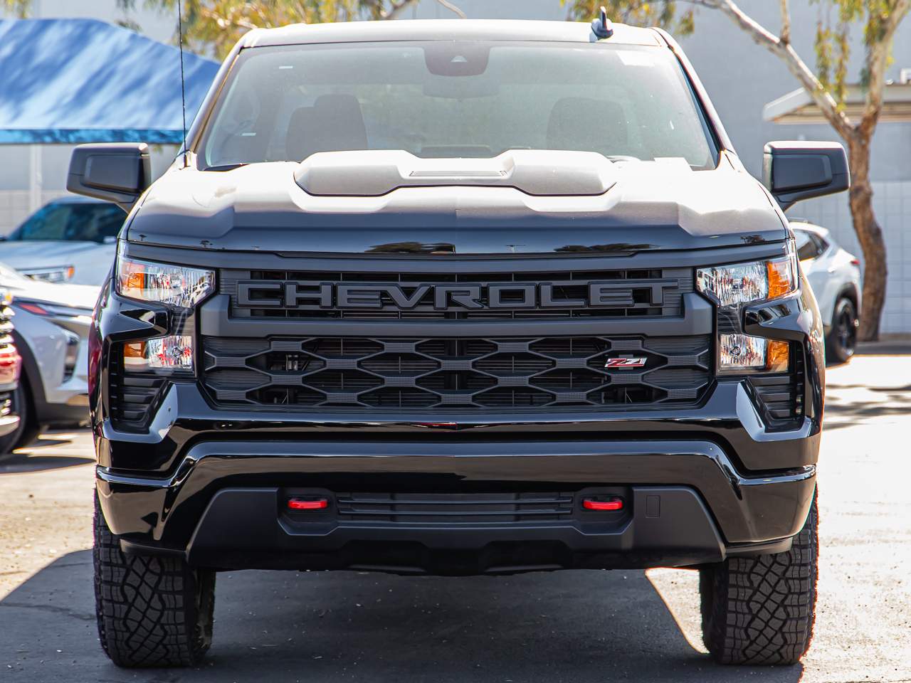 2025 Chevrolet Silverado 1500 Crew Cab Custom Trail Boss 4WD