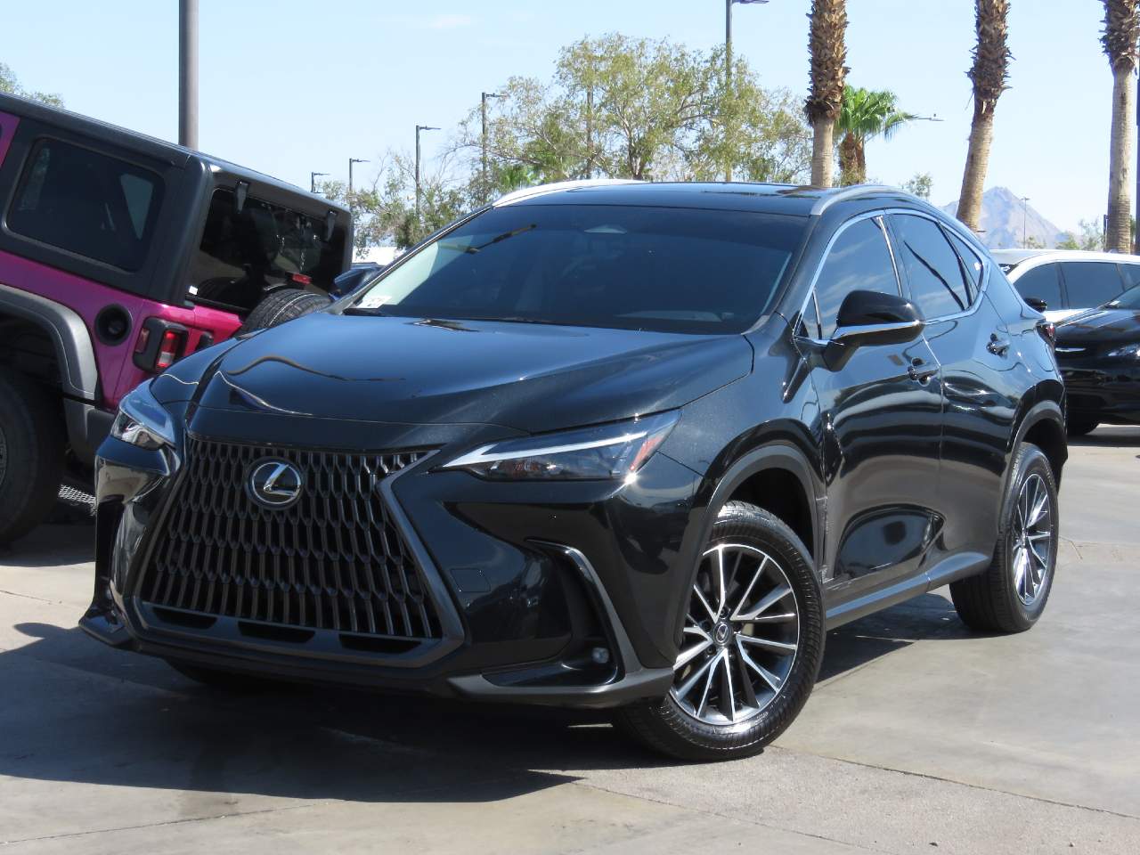 2024 Lexus NX 350 Premium