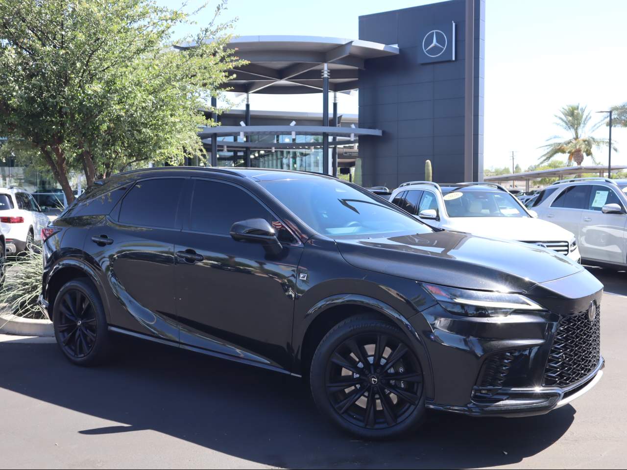 2023 Lexus RX 350h 500h F SPORT AWD's photo