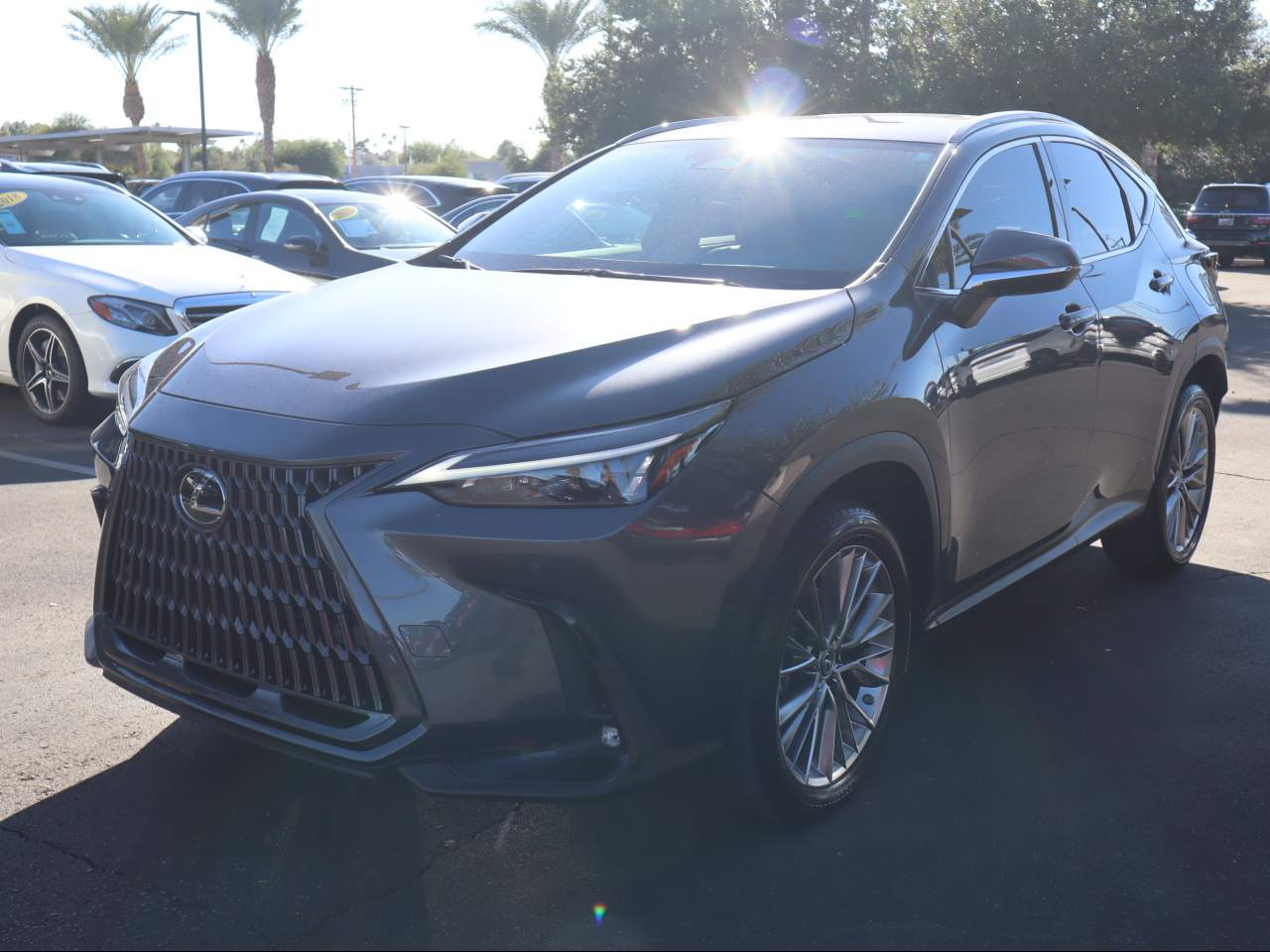 2022 Lexus NX 350 Luxury
