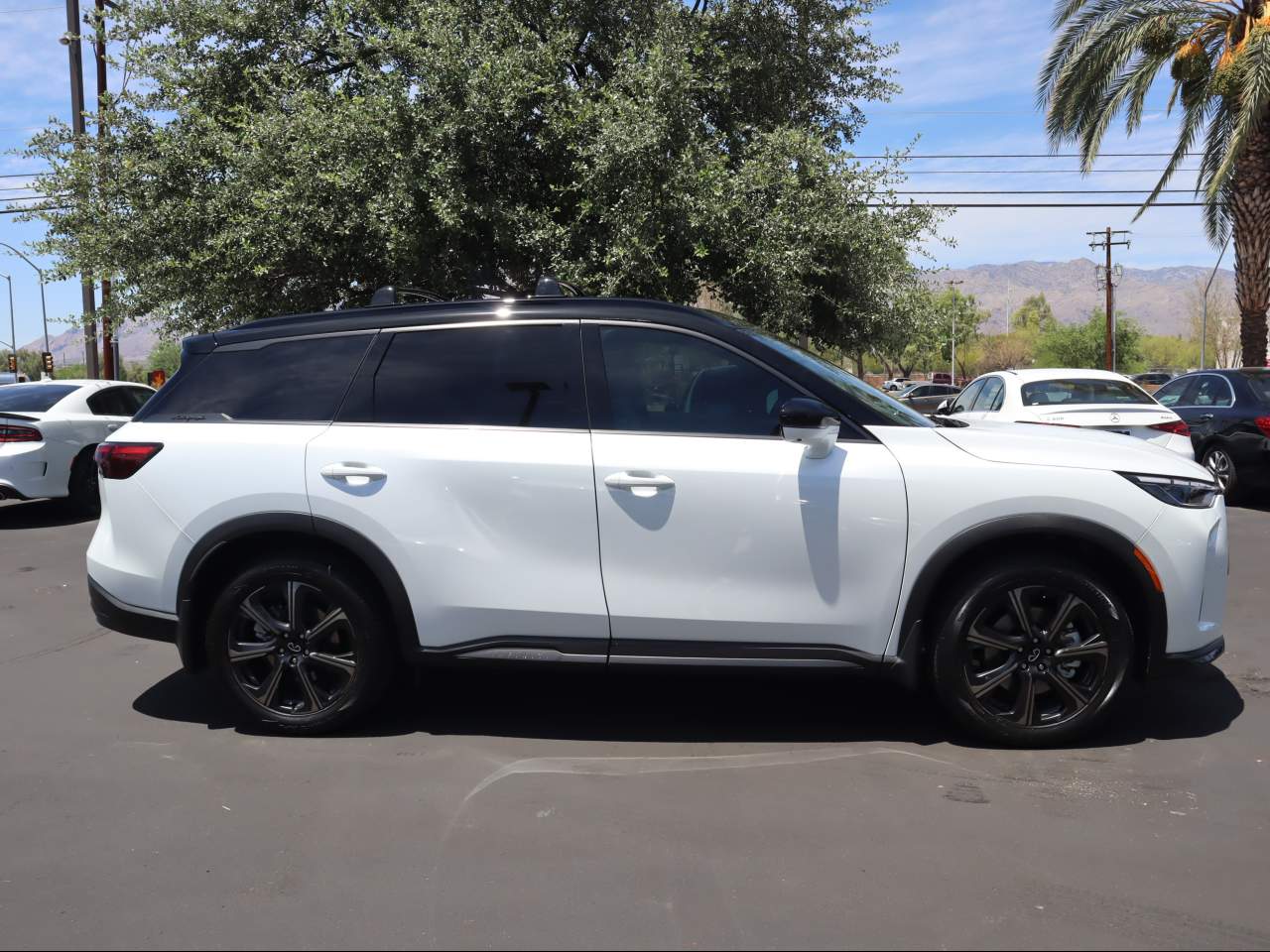 2026 INFINITI QX60 Autograph