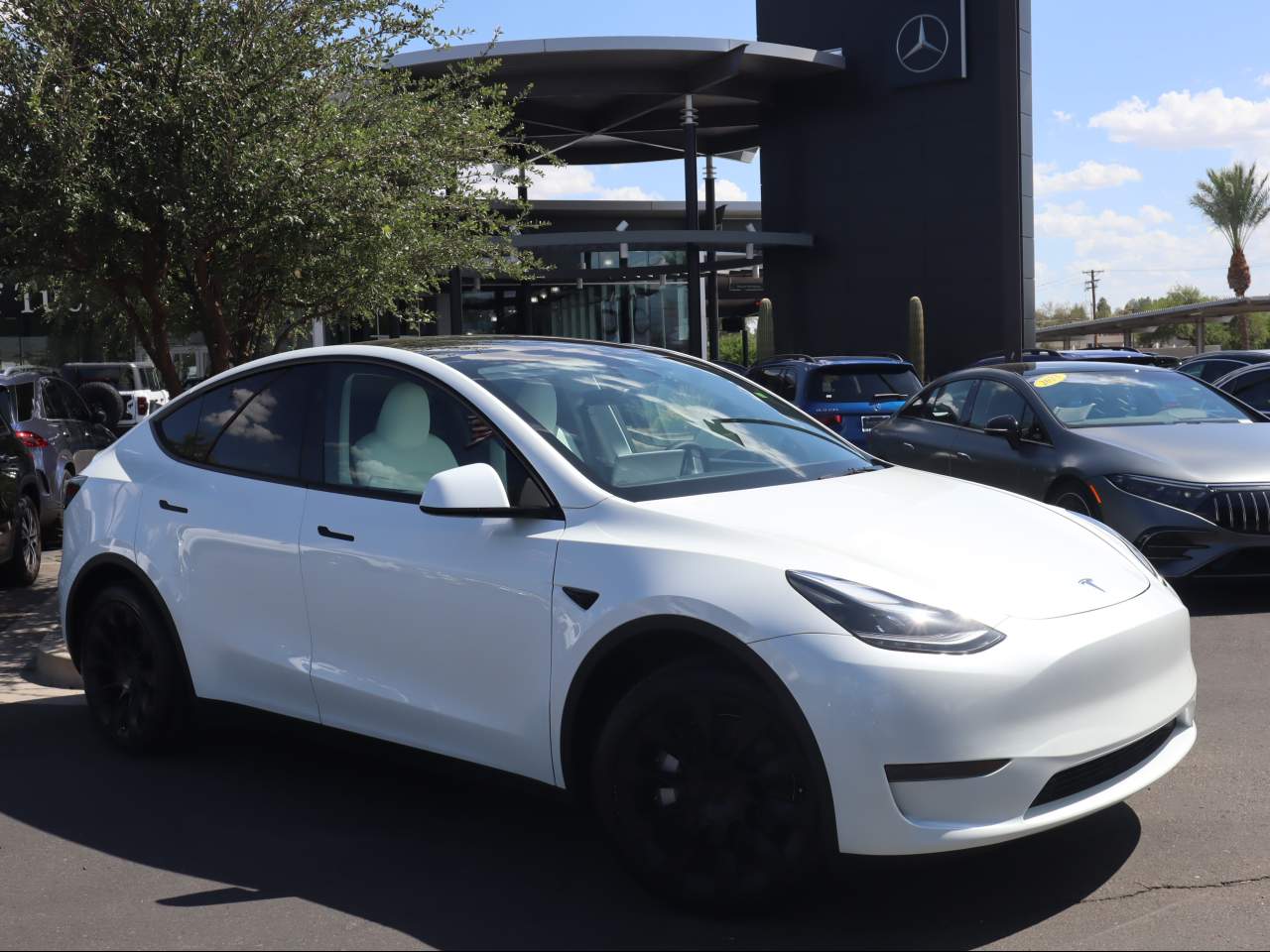 2025 Tesla Model Y Long Range