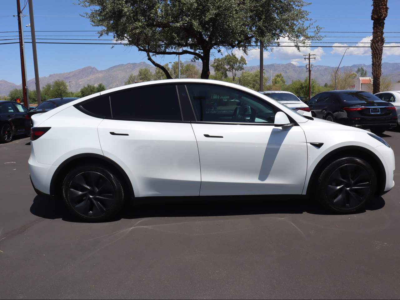 2024 Tesla Model Y Long Range
