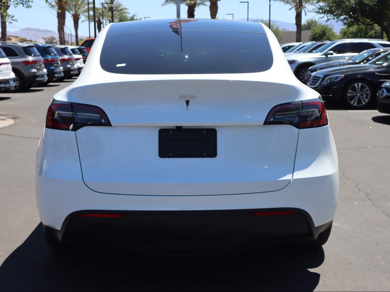 2025 Tesla Model Y Long Range