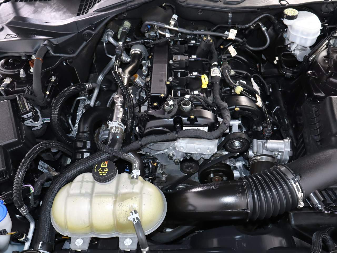 2023 Ford Mustang EcoBoost