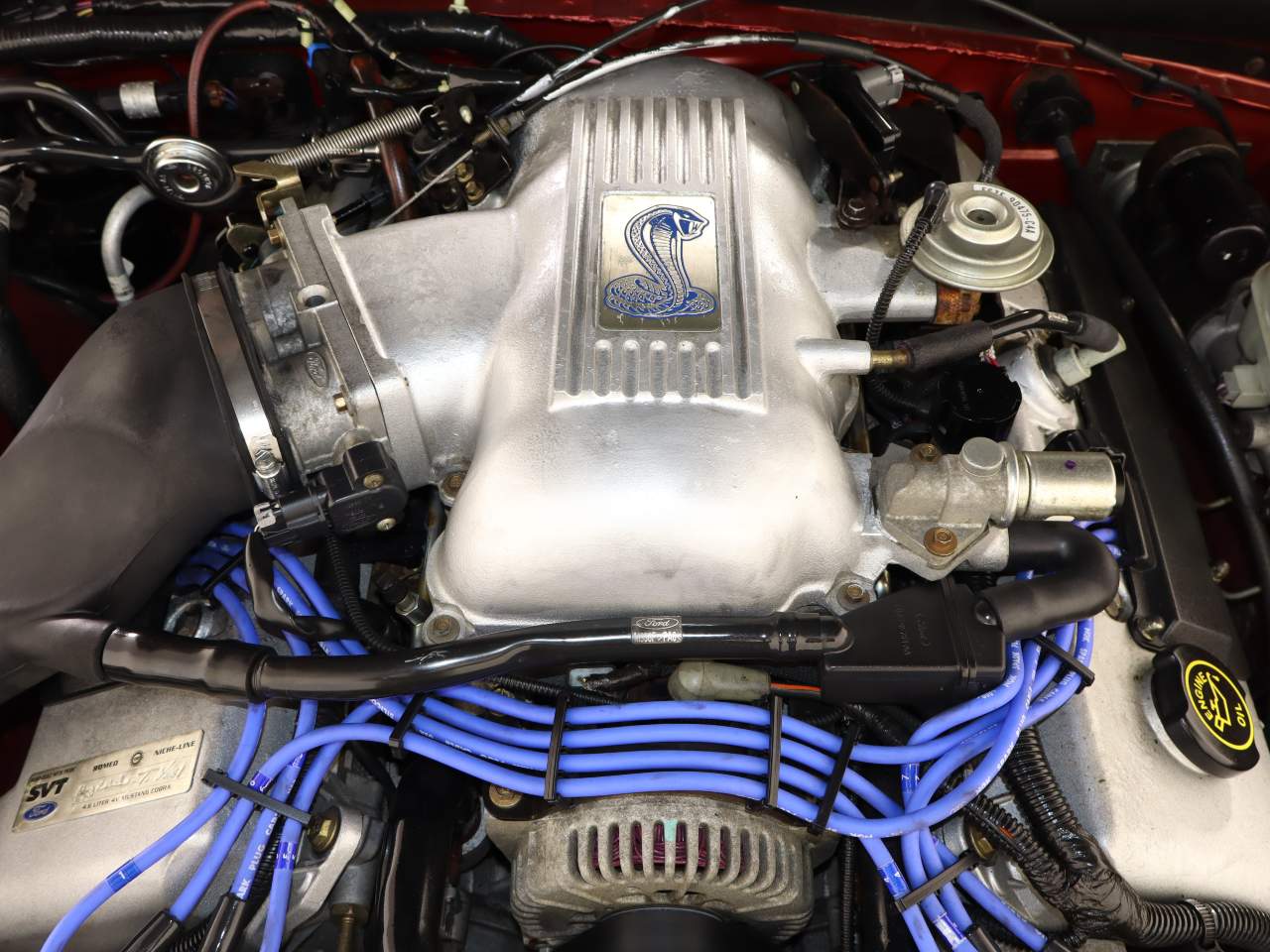 1998 Ford Mustang SVT Cobra