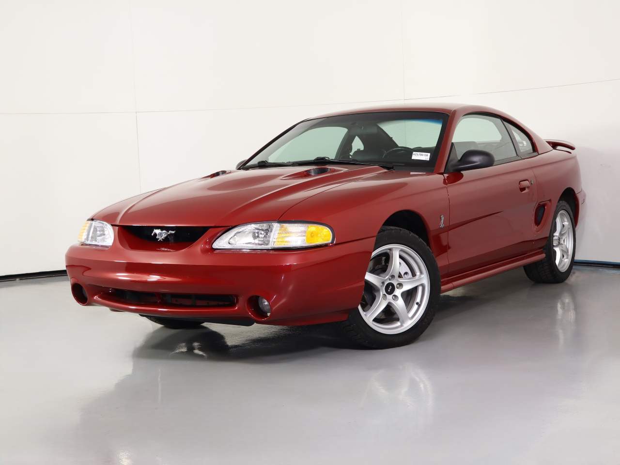 1998 Ford Mustang SVT Cobra