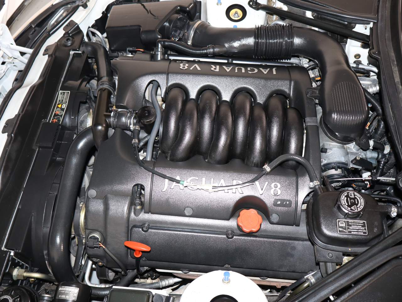 2001 Jaguar XK-Series XK8
