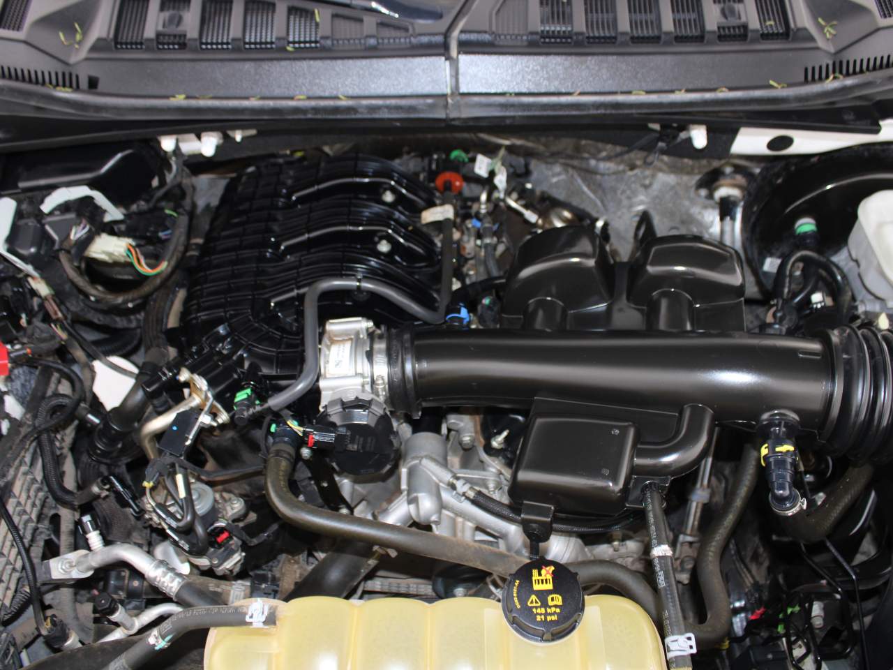 2019 Ford F-150 XLT Crew Cab