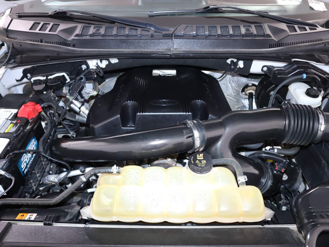 2019 Ford F-150 Platinum Crew Cab