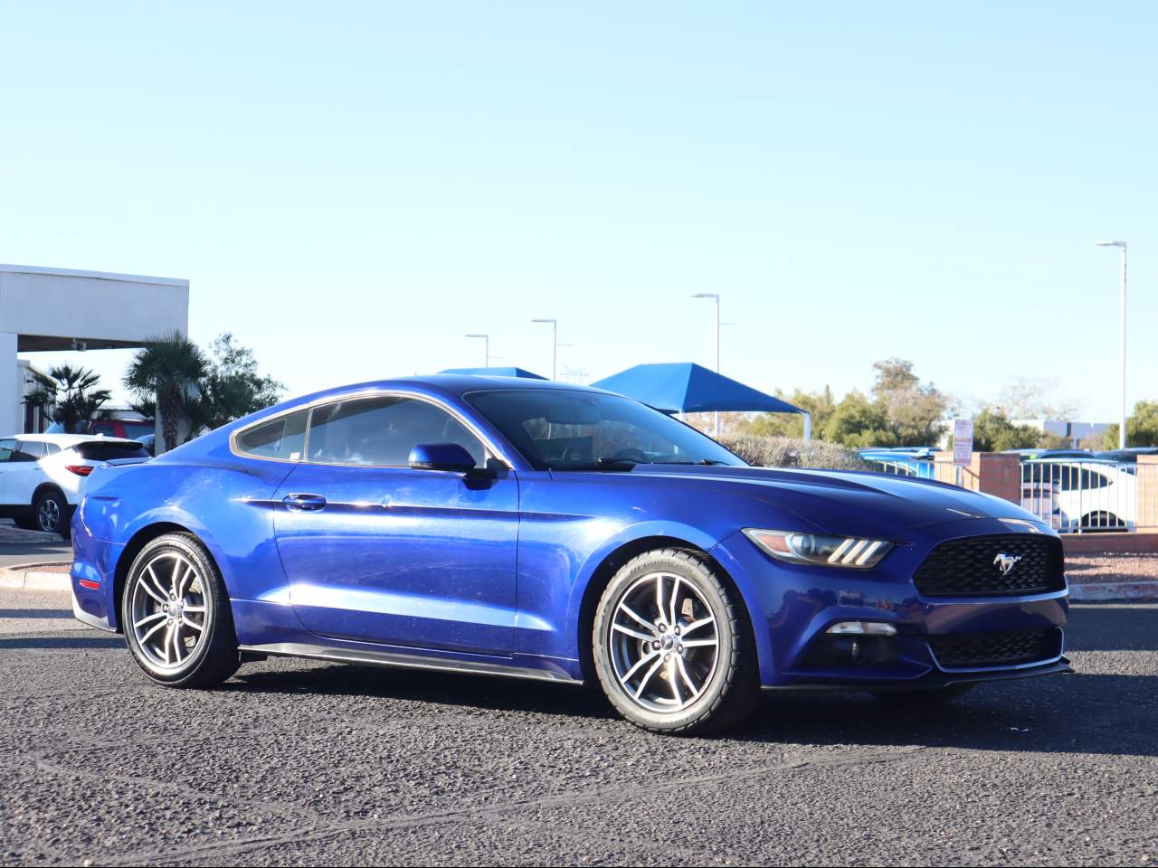 2017 Ford Mustang Premium Fastback's photo