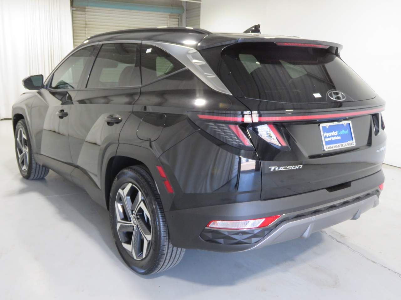 2024 Hyundai Tucson Limited - Photo 6