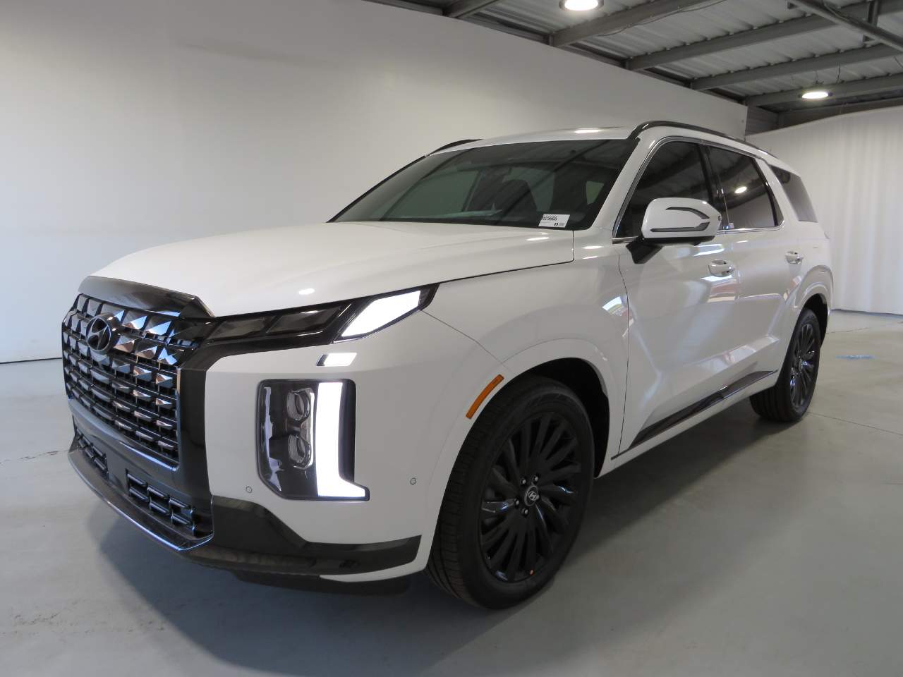 2025 Hyundai PALISADE Night