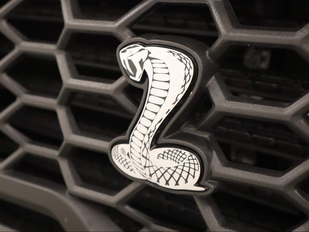 2025 Ford F-150 Shelby Crew Cab