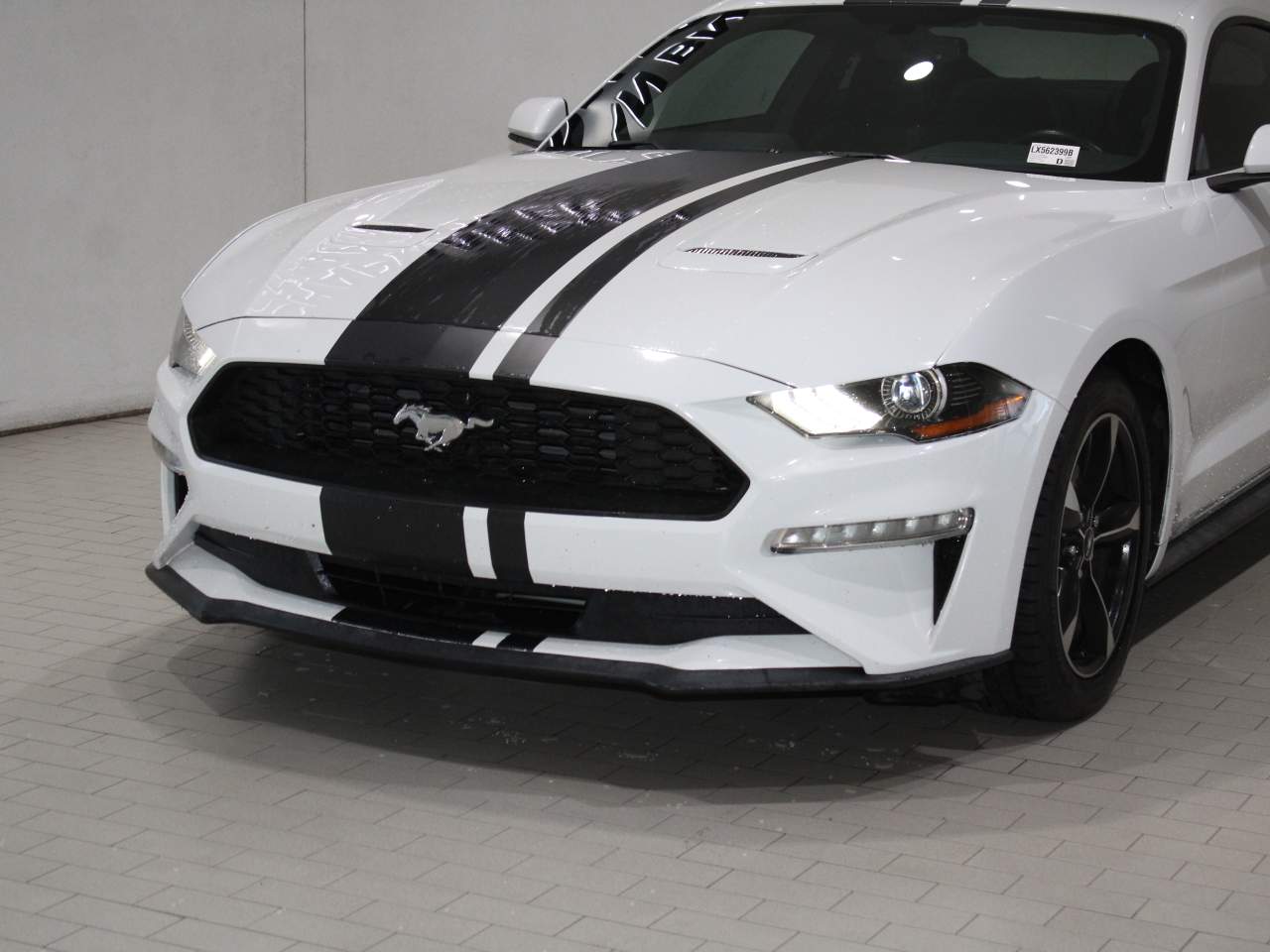 2019 Ford Mustang EcoBoost photo 3