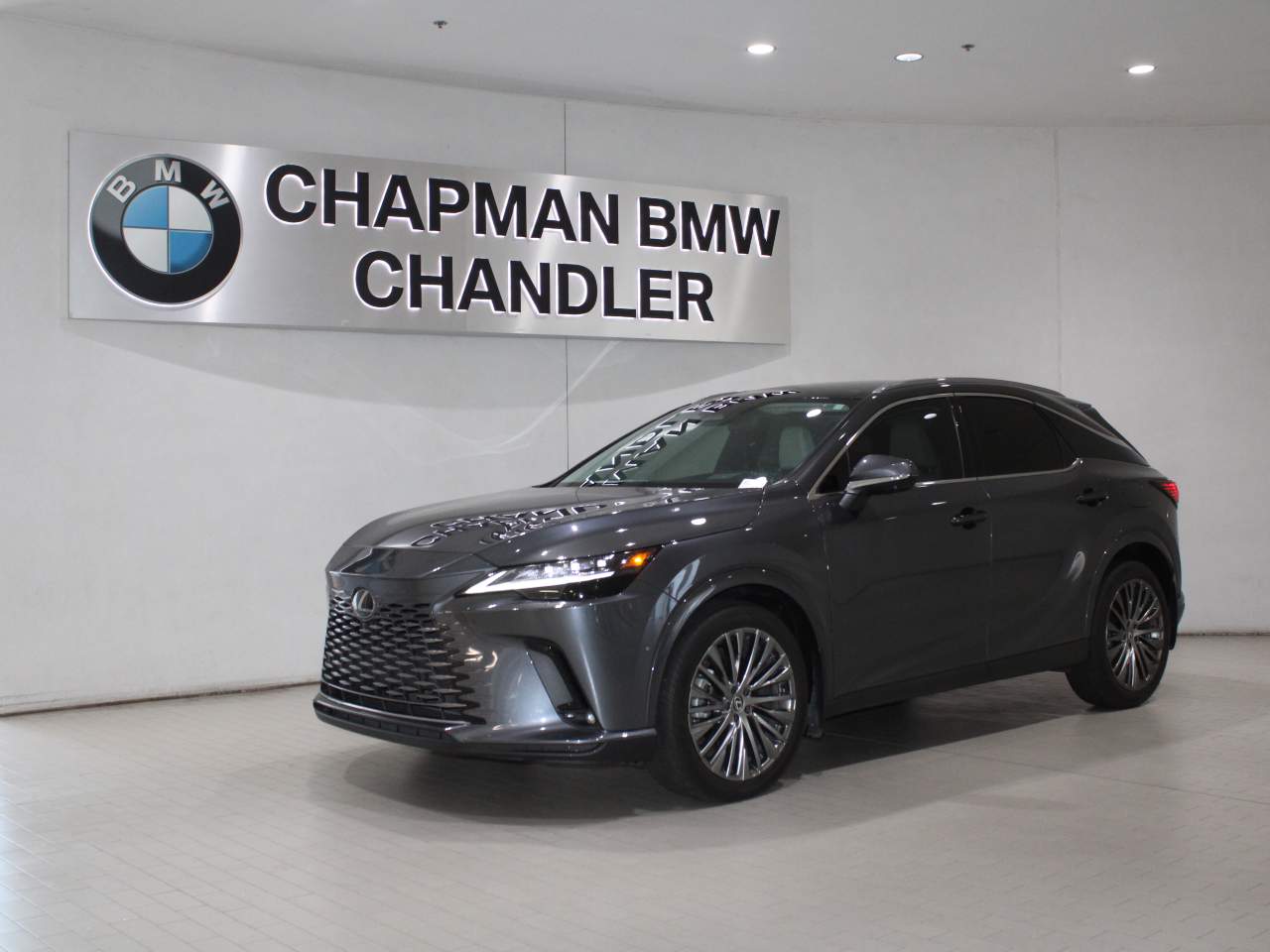 2024 Lexus RX 350's photo