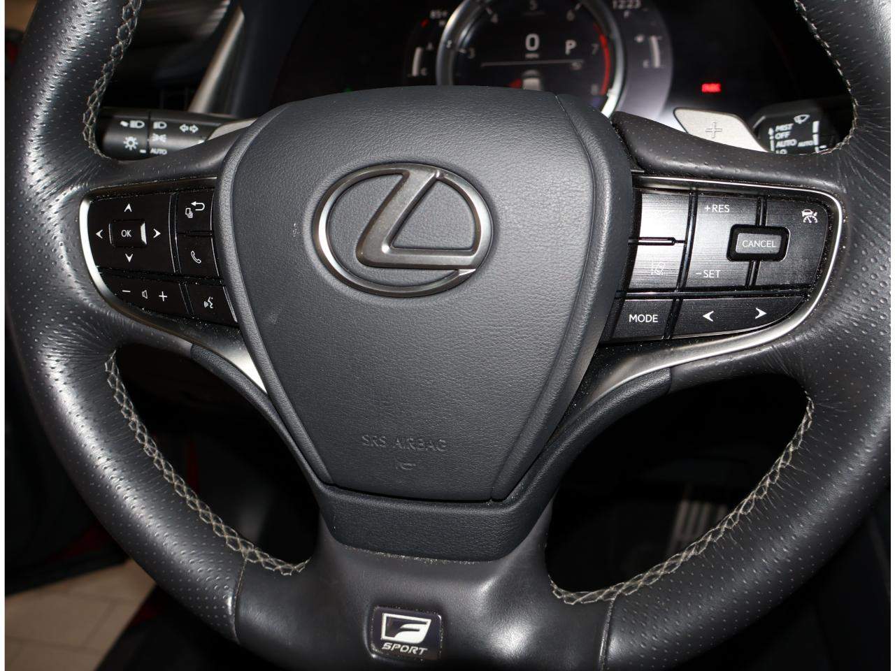 2021 Lexus ES 250 F SPORT
