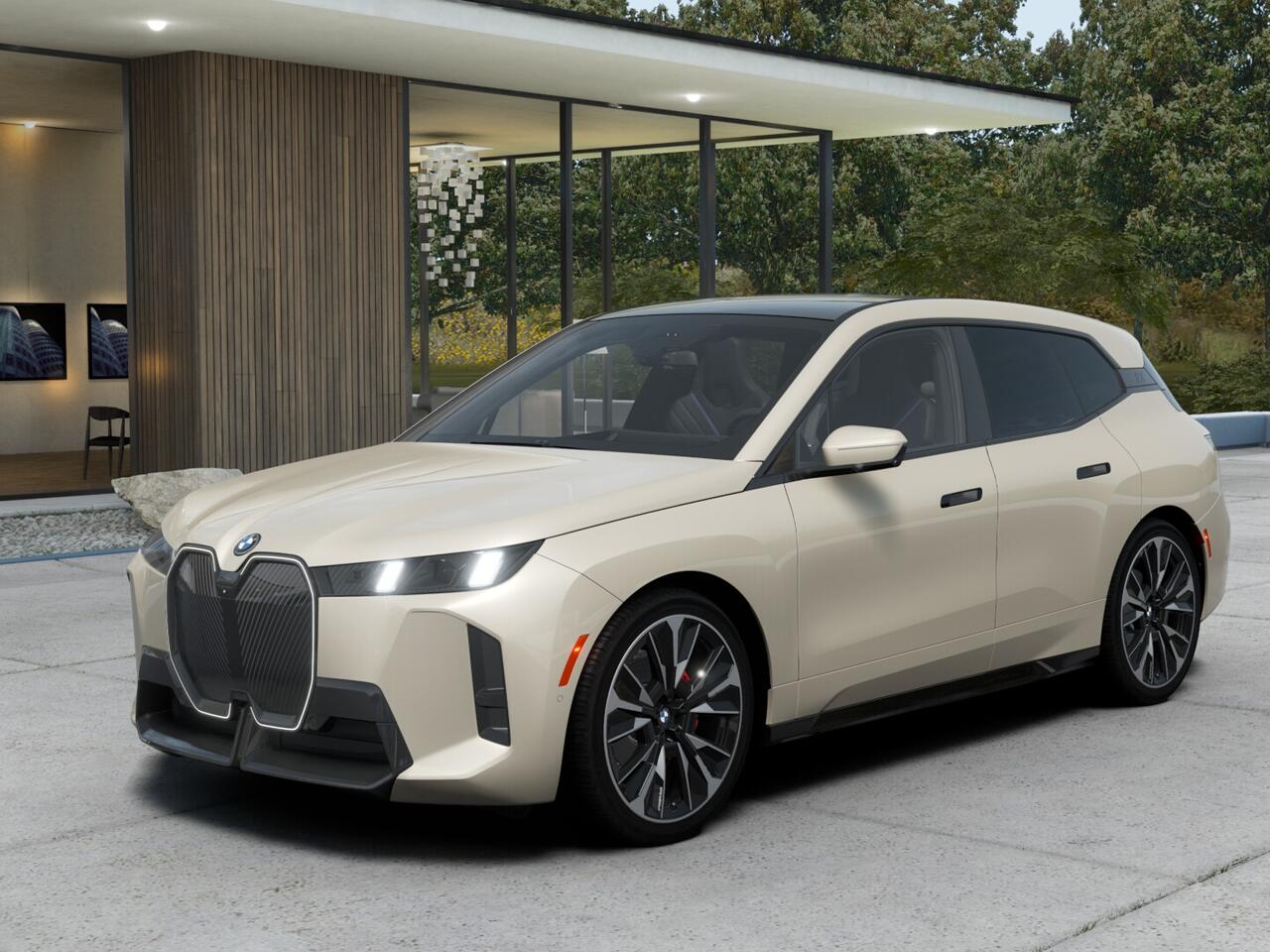 2026 BMW iX xDrive60's photo
