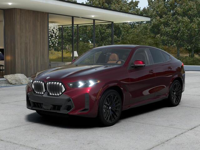 2026 BMW X6