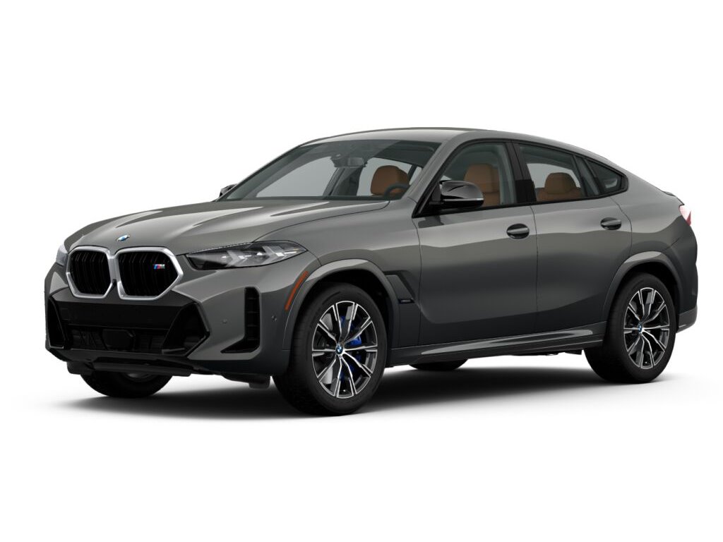 2024 BMW X6